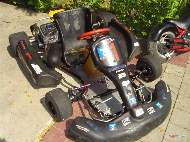 Show & Shine 2009 Show & Shine 2009